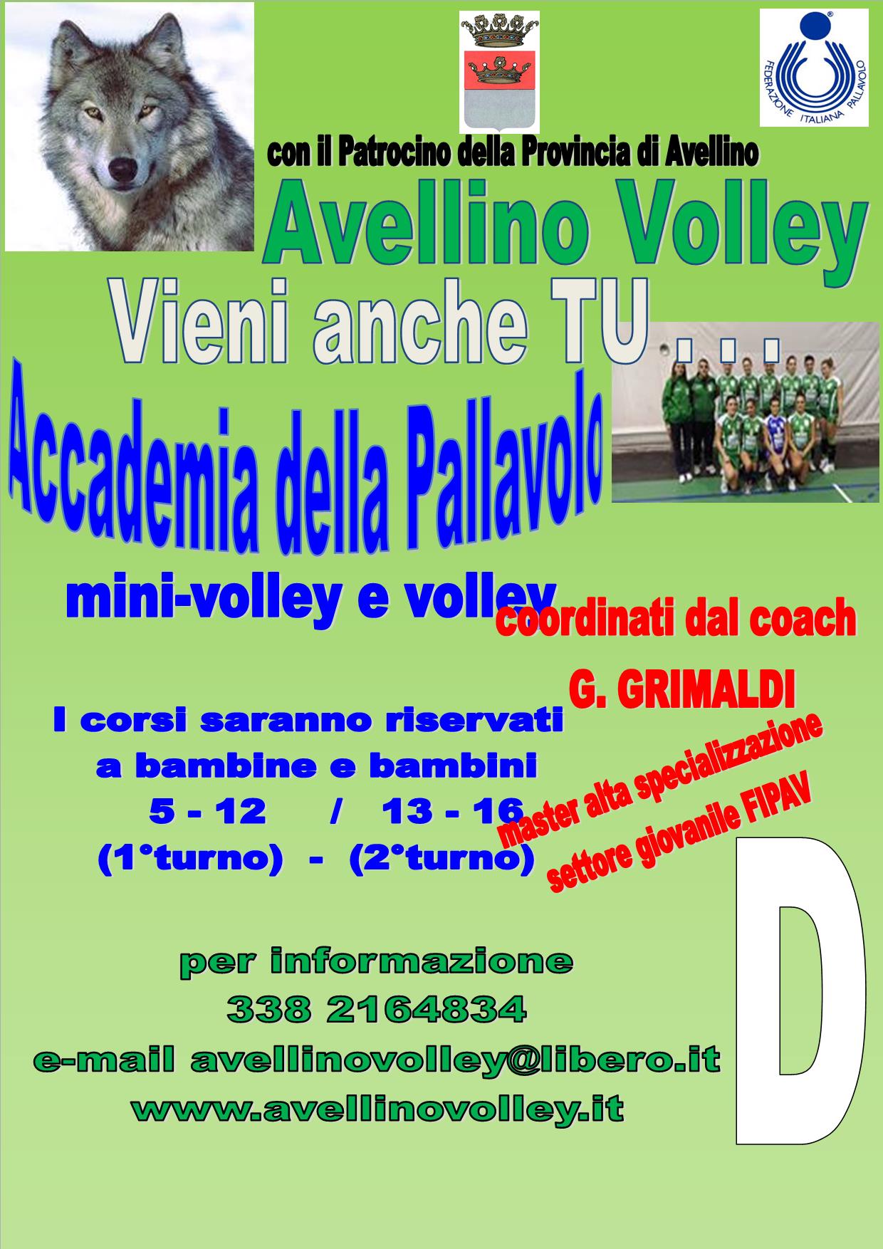 accademia della pallavolo