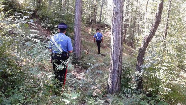 carabinieri-nel-bosco-1-620x350