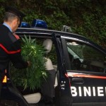 droga carabinieri