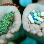 el-uso-de-cannabis-terapeutico-aumenta-y-el-uso-de-analgesicos-convencionales-decrece-3293_XL