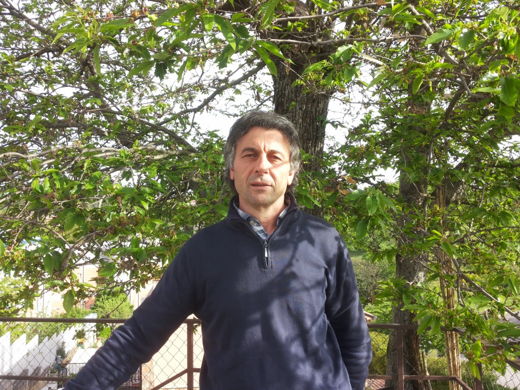 gentile-1024x768