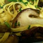 sagra-funghi-porcini1
