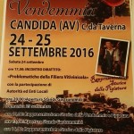 14322690_10208042730480176_880085931521928037_n