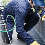6826419_derattizzazione