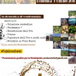 Festa della Vendemmia 2016