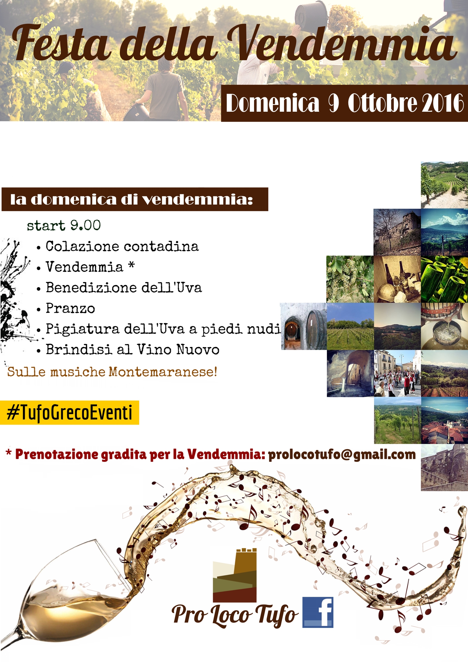 Festa della Vendemmia 2016