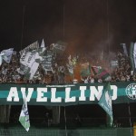 avellino