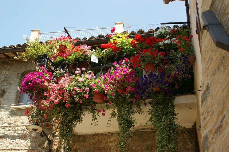 balcone-fiorito_NG1