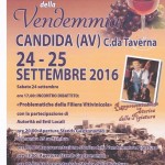 vendemmia