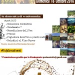 Festa della Vendemmia16 2016 (2)