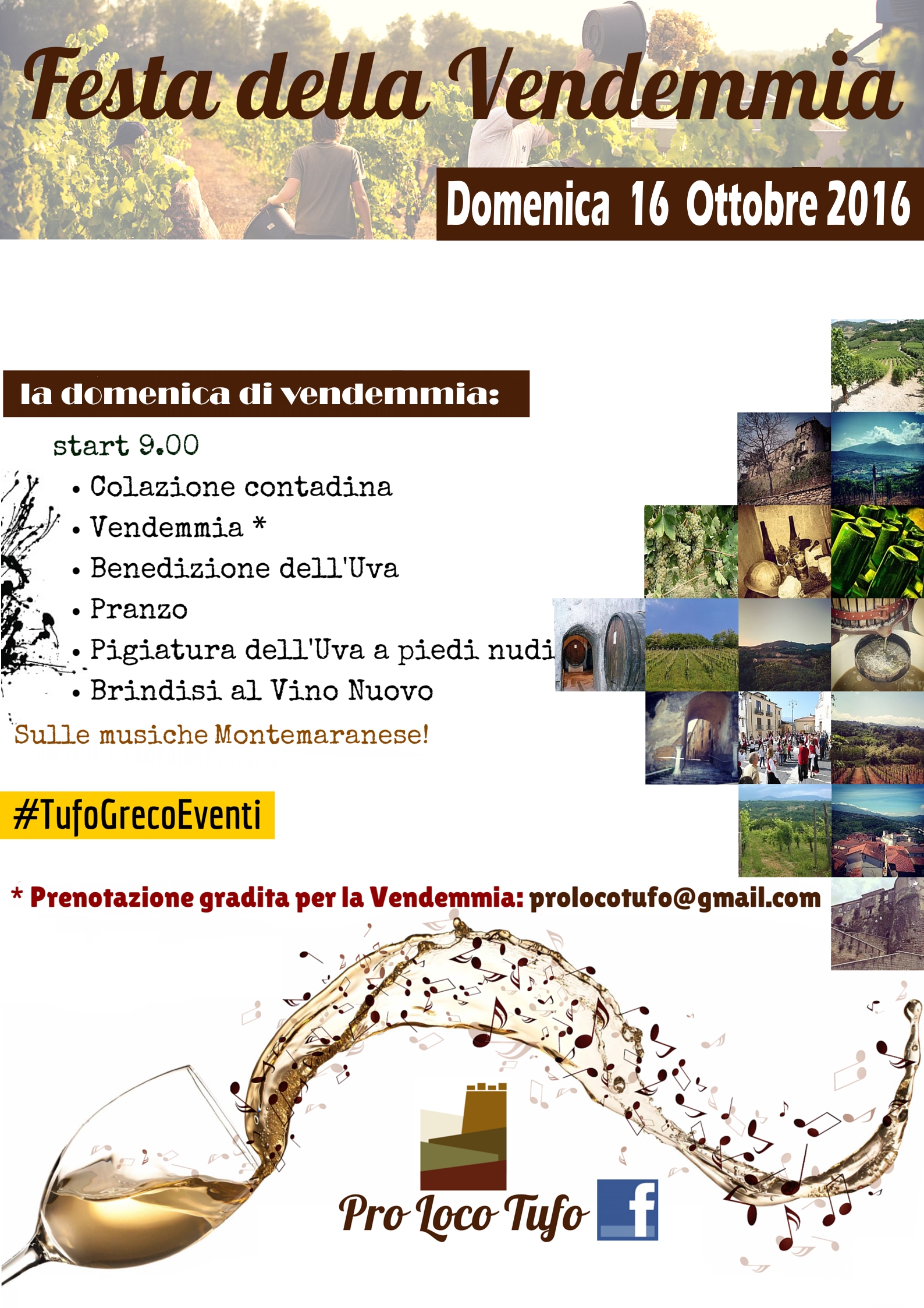 Festa della Vendemmia16 2016 (2)