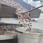 sagra1