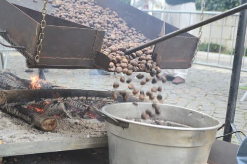sagra1