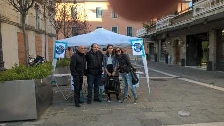 GazeboNcS Avellino