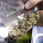 Marijuana-2