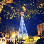 foto albero Chiusano