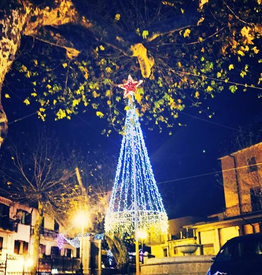 foto albero Chiusano