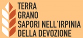 logo (2)