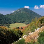 partenio