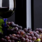 vino