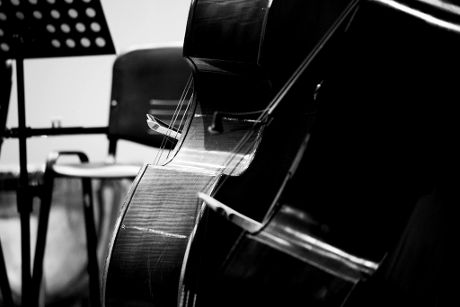 Orchestra testo
