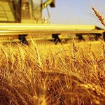 agricoltura-1440x564_c