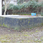 arton22481