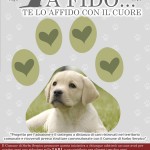 fido (3)