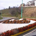 flumeri_logo2