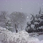 neve