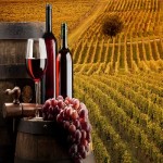 vino