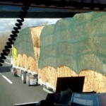 carovana donaunballone (2)