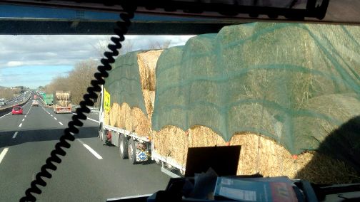 carovana donaunballone (2)