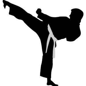 evidenza karate