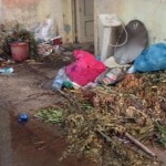 immagine-1-1440x564_c