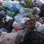 sacchettirifiutui_sito