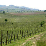 Ambiente-e-Territorio-300x225
