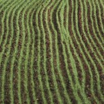 agricoltura-1