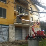 albero dentro