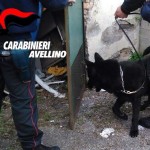 avellino dentro