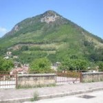 download (1)