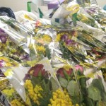 mimose-sequestro-2