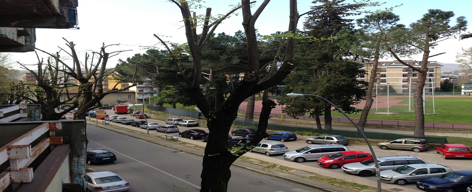 ob_01eda7_parcheggio-selvatico-davanti-al-campo-coni