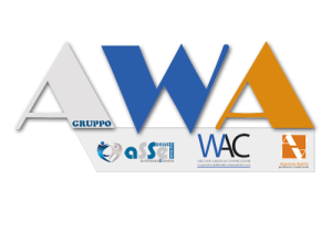 Logo-awaxweb-300x210