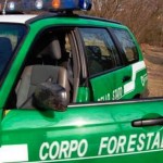 corpoforestale