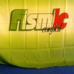 fismic-2