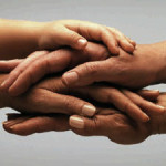 solidarieta