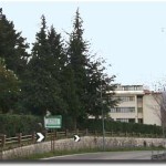 villa dei pini 1