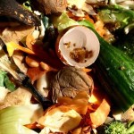 20110908032825_RecuperorifiutiorganiciilVenetoprimo