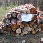 Legna sequestro-2